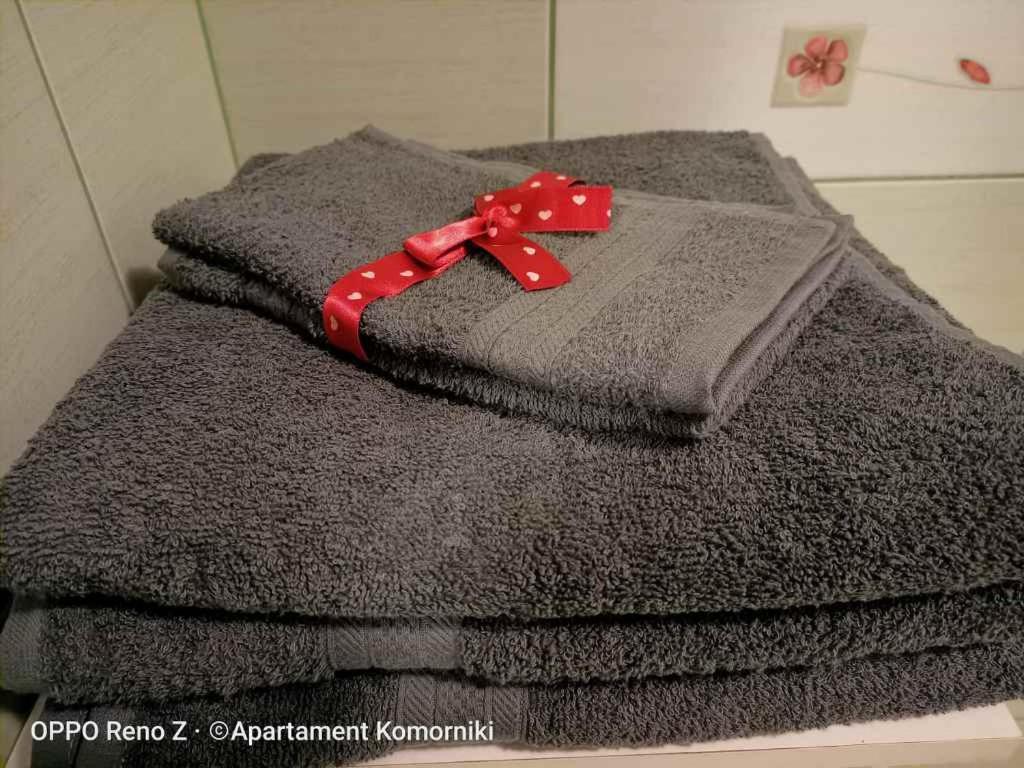 Apartament Komorniki Komorniki  Εξωτερικό φωτογραφία